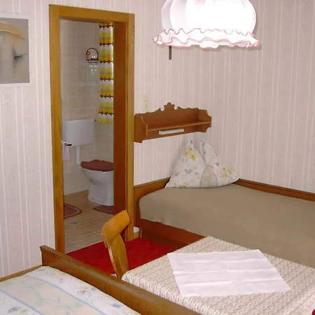 Apartamento Haus Erika Wald im Pinzgau